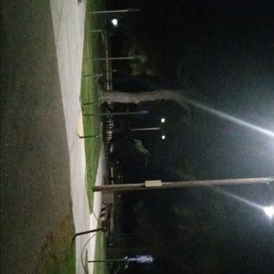 Meet your Posher, Billy